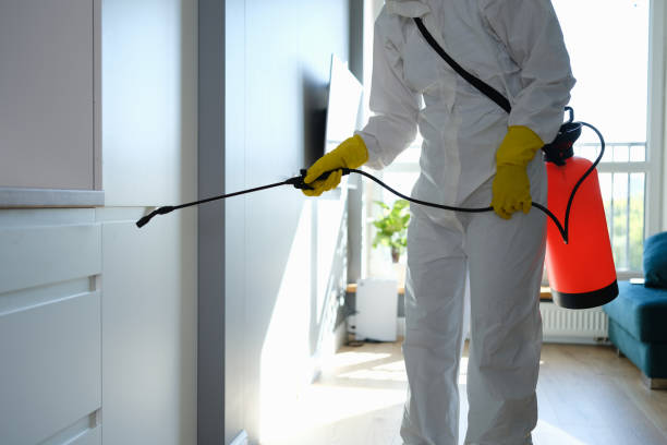 Best Post-Remediation Services in Halifax, VA